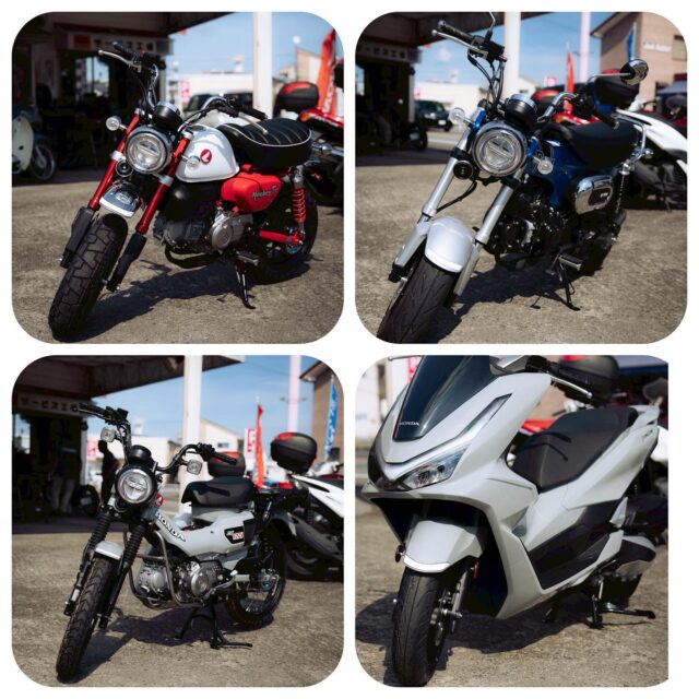 125ccバイク。
日常使いの最強のバランスが魅力です。250cc以上のバイクに比べ維持費が安く、また、50ccのバイクでは必要な二段階右折等が不要です。
車体が軽く、足つきの良いモデルが多いので、女性やバイク初心者にも扱いやすいバイクです🤗

※ 写真のバイクは在庫切れの場合がございますので、購入を検討の方はお問い合わせ下さい。

#モンキー125 #ダックス125 #ハンターカブ #PCX #オートパークSKY #宮崎