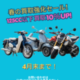 春の買取強化セール❗️